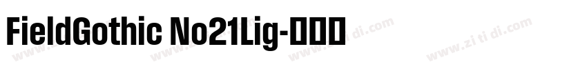 FieldGothic No21Lig字体转换